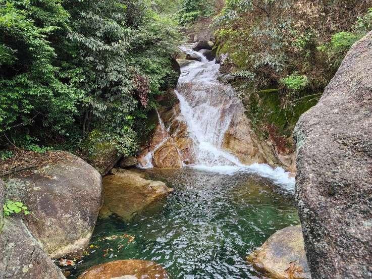 拯救精灵的土地7